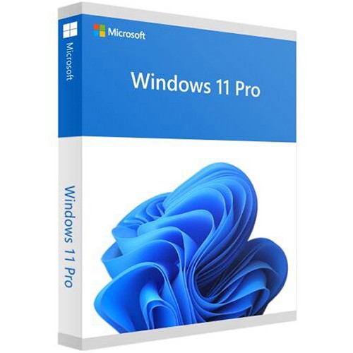 Microsoft Win 11 Pro 64Bit Eng Intl 1pk DSP OEI DVD, FQC-10528