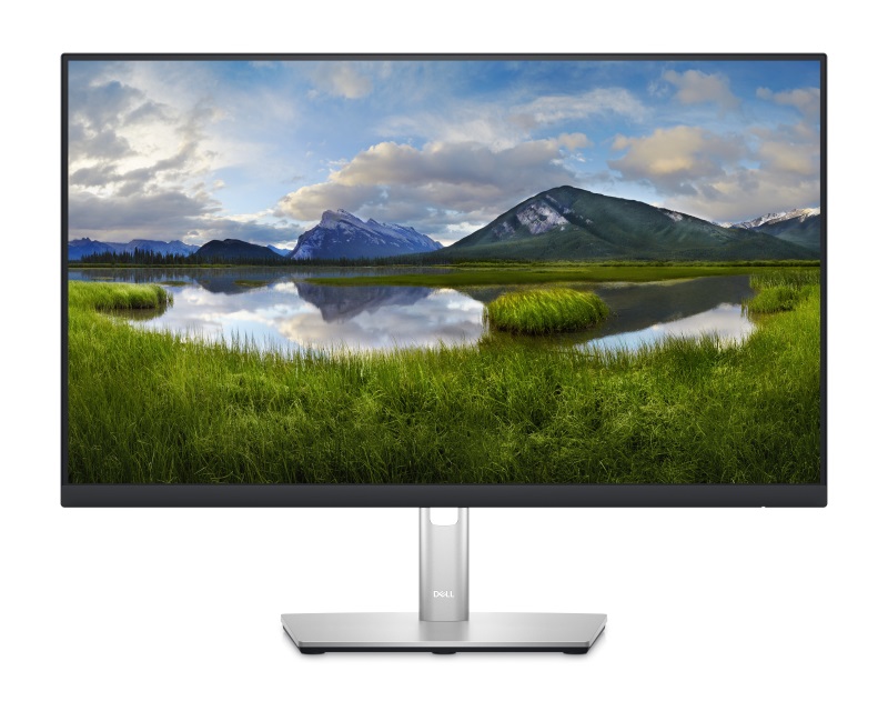 DELL Monitor 23.8″ Professional, P2422H