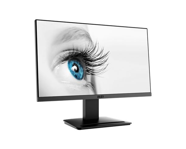 MSI Monitor PRO MP223 9S6-3PB9CH-001