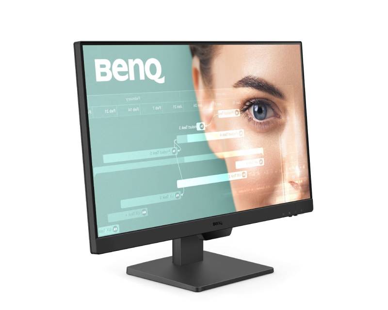 BENQ Monitor GW2490 9H.LLSLJ.LBE