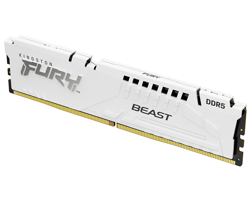 DIMM DDR5 16GB 6000MT/s KF560C36BWE-16 FURY Beast White EXPO