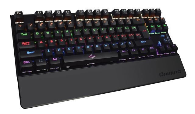 MS Tastatura  ELITE C710 MSP10009