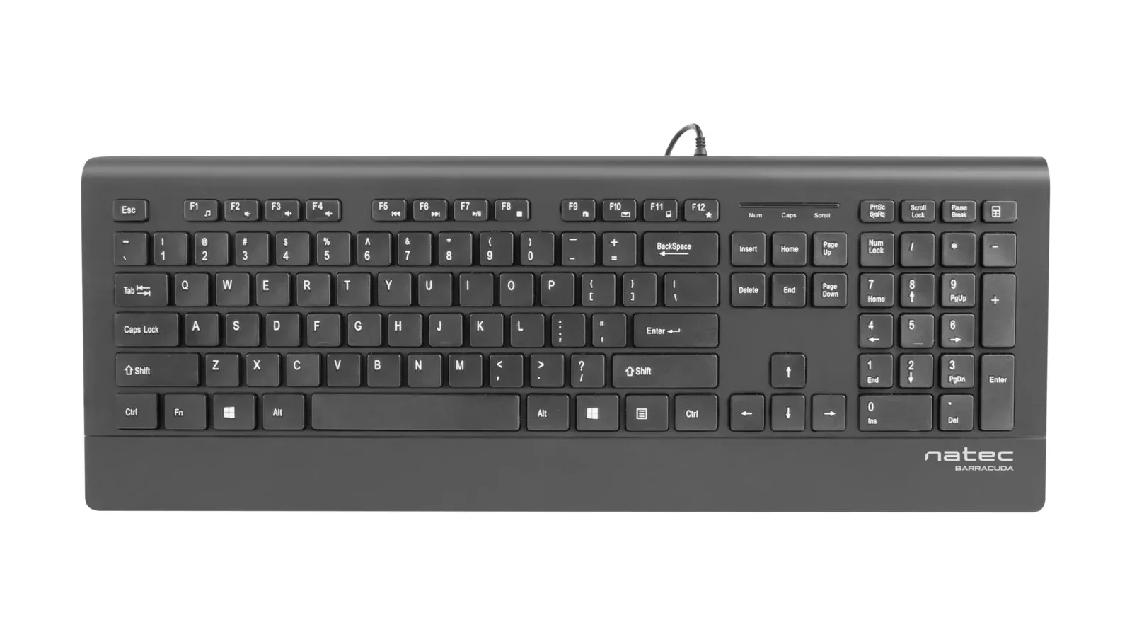 Natec Tastatura BARRACUDA Slim Multimedia NKL-0876