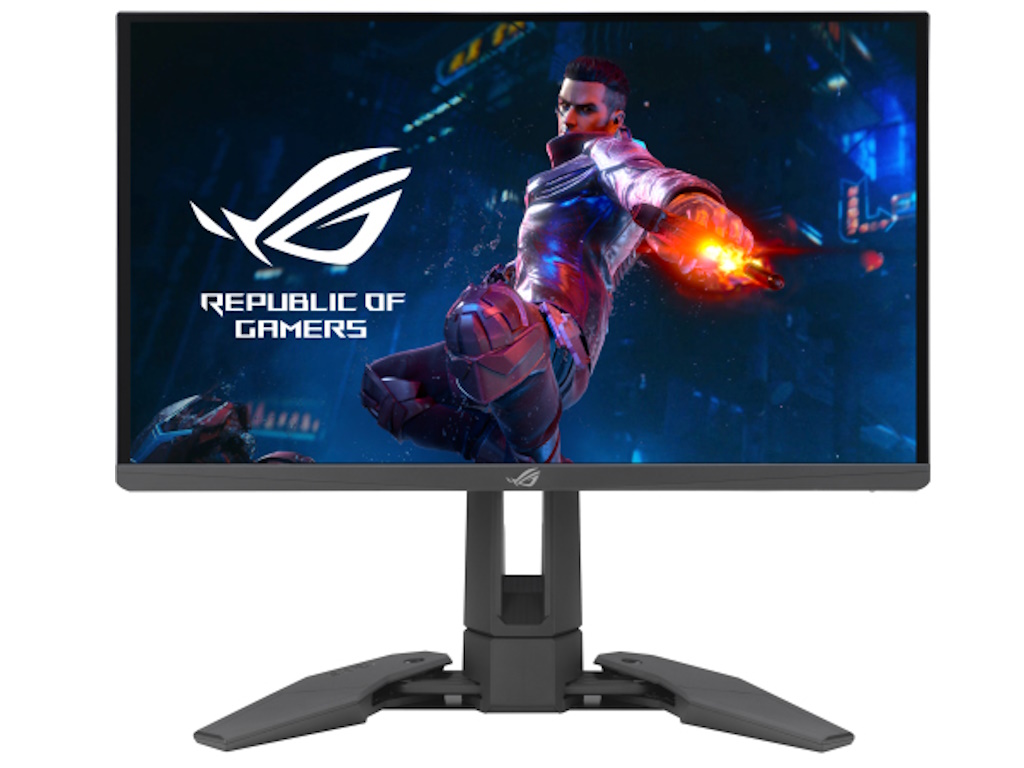 ASUS ROG 24.1" Monitor PG248QP 90LM08T0-B01370