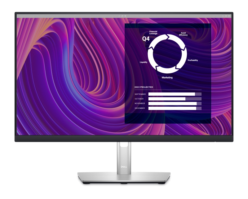 DELL Monitor 23.8" Professional, P2423D