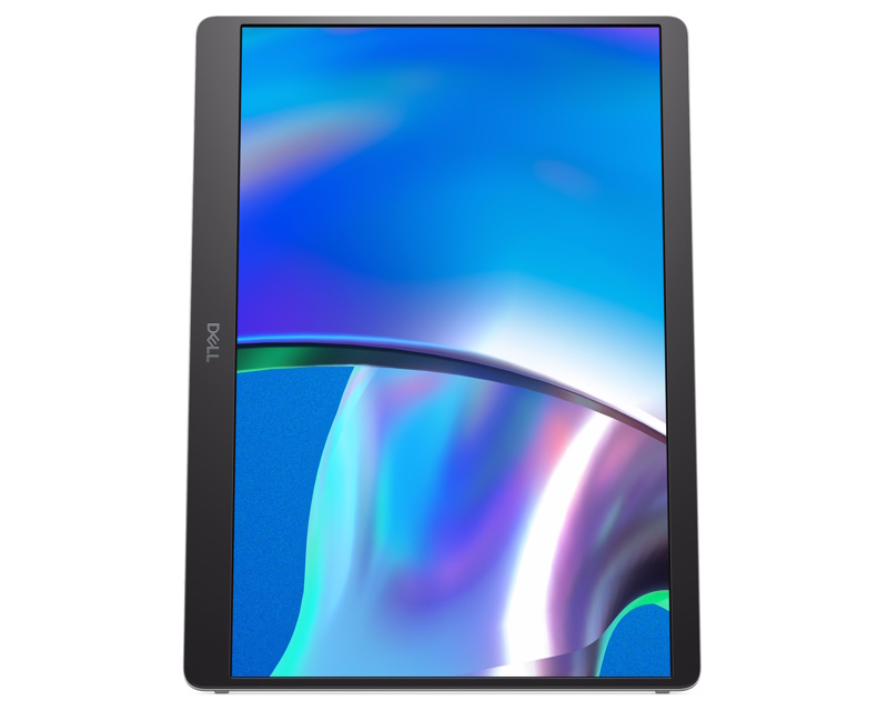 DELL Monitor Pro Plus P1425 14", IPS