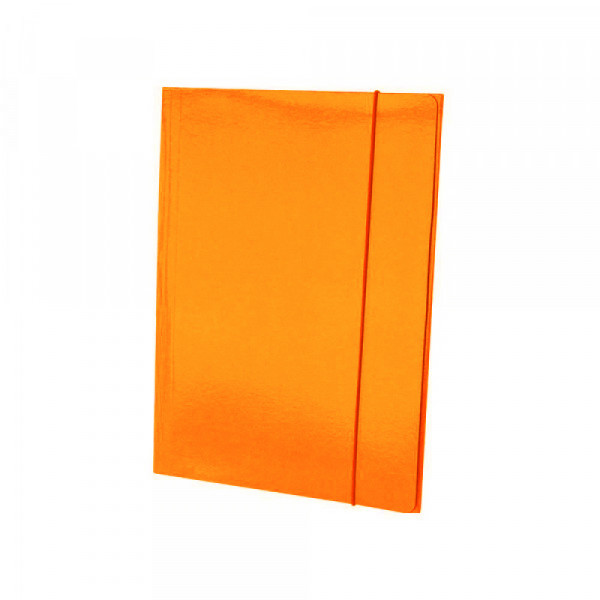 Razno Fascikla plastificirana sa gumicom 400gr