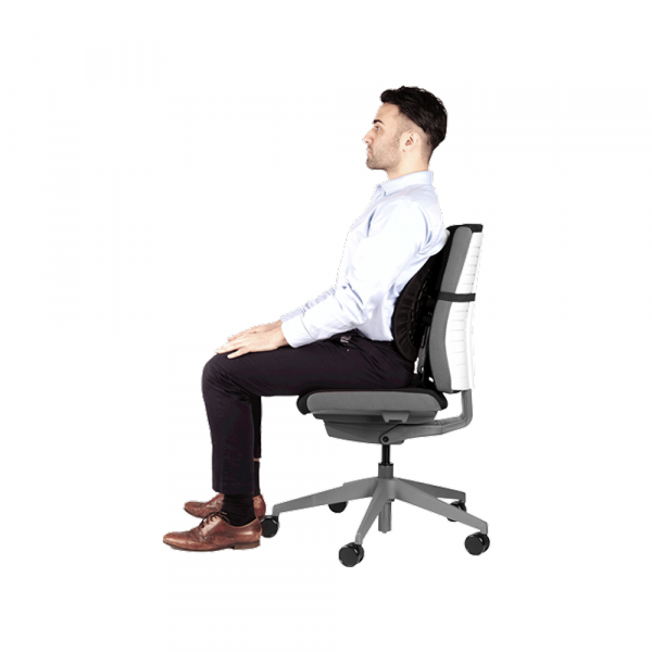 Fellowes Odmarač za leđa Back Angel Support 8026401
