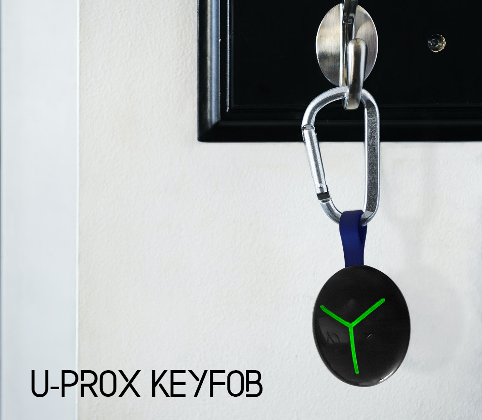 Integrated Technical Vision KEYFOB B4 BLACK