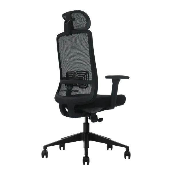 UGD Ergonomska kancelarijska stolica UGD LumbarMax