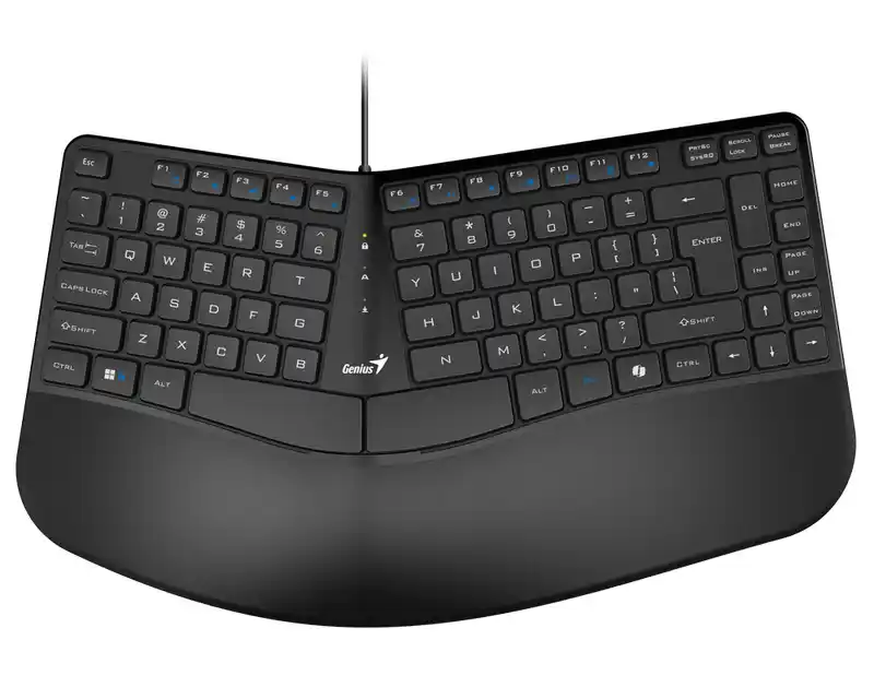 Genius Ergo KB-700,BLK,SER,USB
