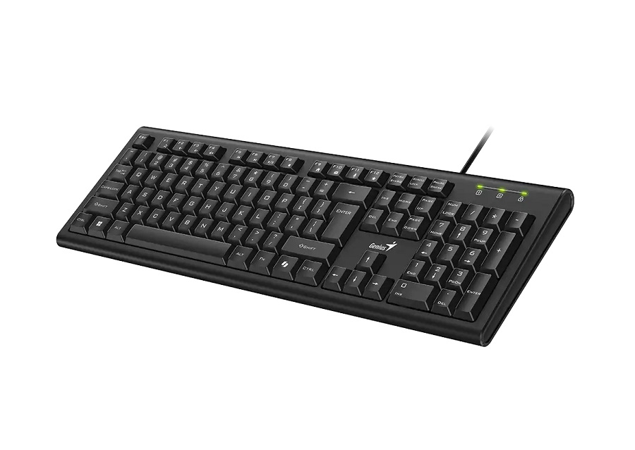Genius KB-113,AI,BLK,US,USB
