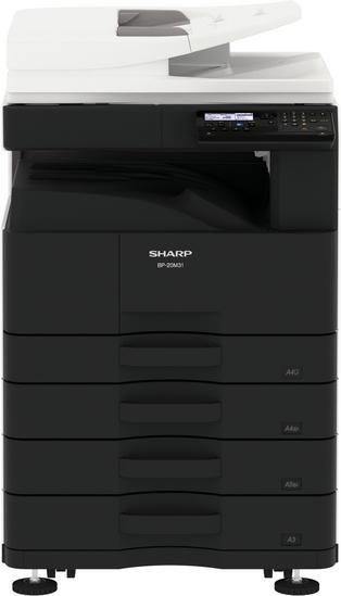 Nova Light 2 B/W 31 cpm EU