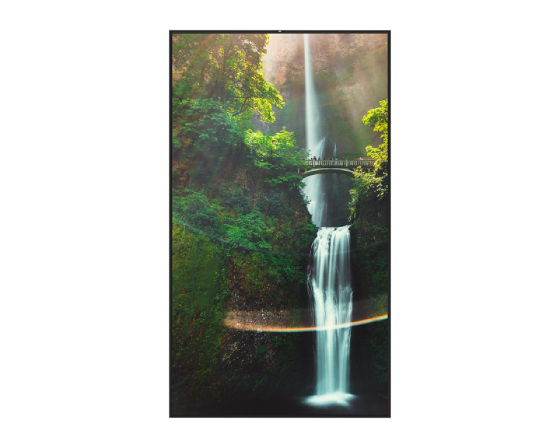 HISENSE 55 inča 55WH80F 4K UHD 4000 nita Window Facing - High Brightness Display
