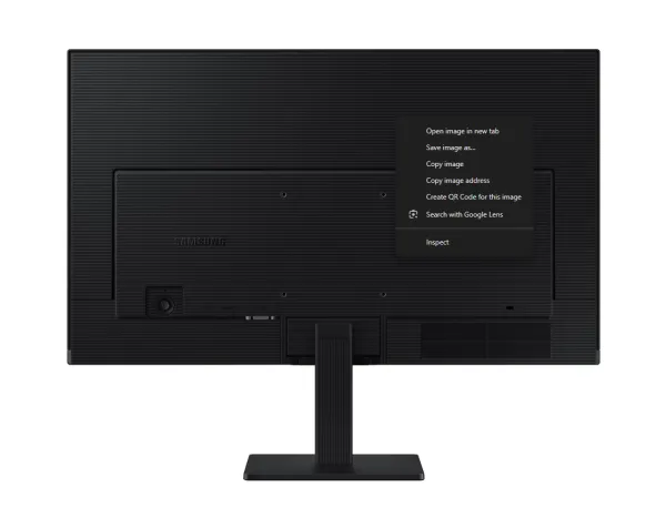 SAMSUNG Monitor LS24D304GAUXEN 24", IPS