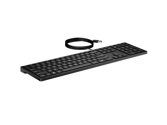 HP Wired Desktop 320K Keyboard Black, YU