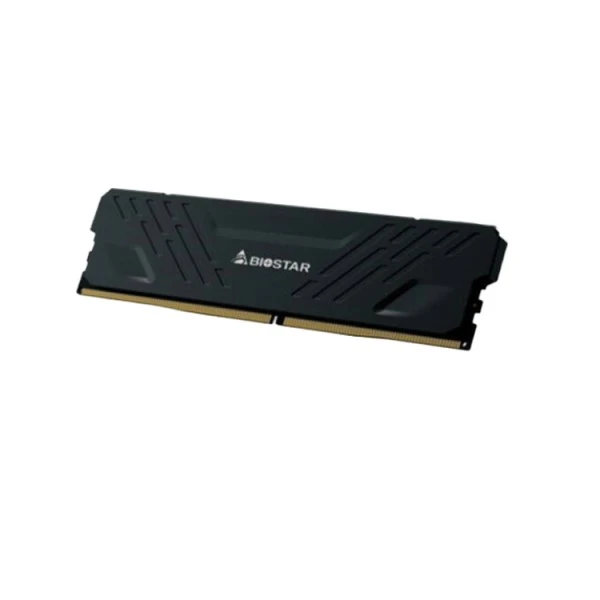 Biostar Memorija DDR4 16GB 3200MHz Heatsink Storming V DO32NU4H016