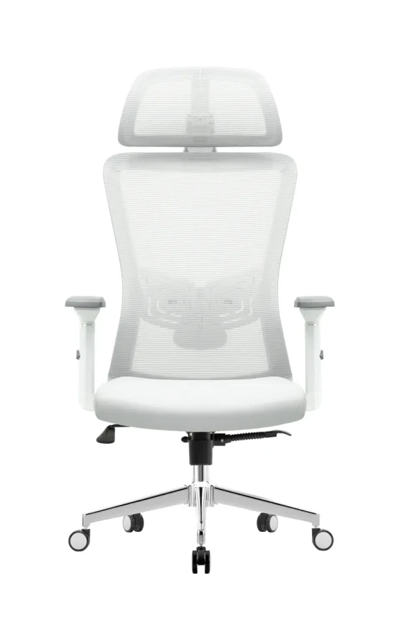 UGD Ergonomska kancelarijska stolica UGD Silver Polare