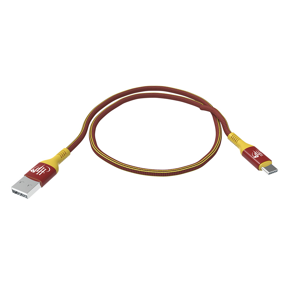 WB Moye Harry Potter USB-A to USB-C Charging Cable 01 1M