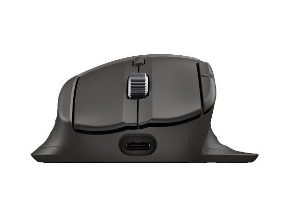 HP DOD Ultra-Fast-Scroll Wireless Mouse 785M, B8YX4AA