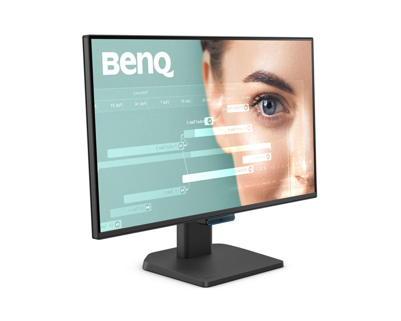 BENQ Monitor 23.8" GW2490C
