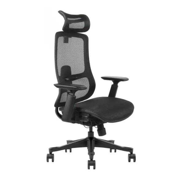 UGD Ergonomska kancelarijska stolica UGD Task Master Mesh