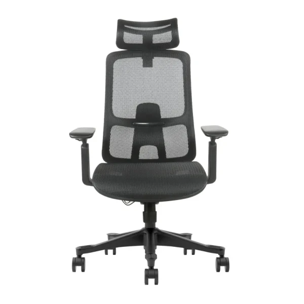 UGD Ergonomska kancelarijska stolica UGD Task Master Mesh