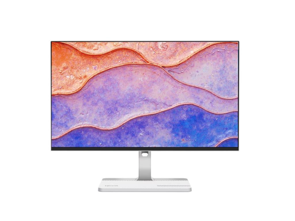 Lenovo L24D-4C Monitor IPS 23.8"