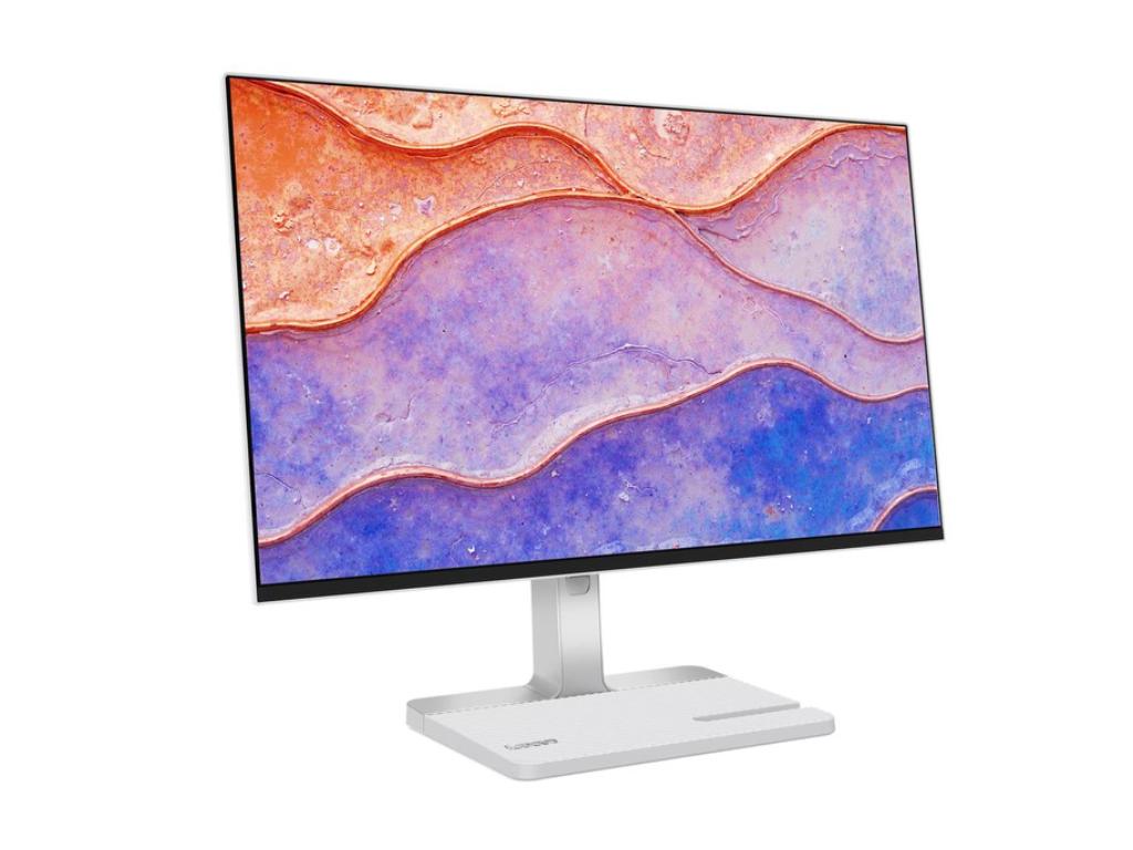Lenovo L24D-4C Monitor IPS 23.8"
